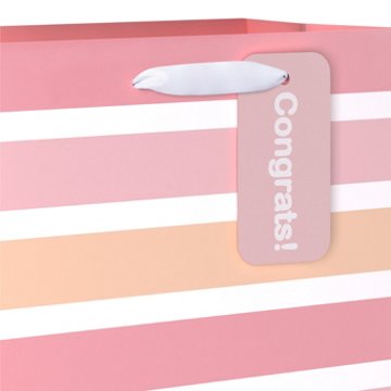 American Greetings Pink Stripes Baby Shower Medium Gift Bag with Hang Tag