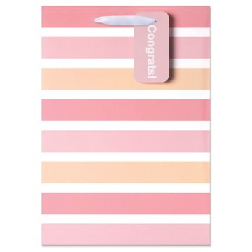 American Greetings Pink Stripes Baby Shower Medium Gift Bag with Hang Tag