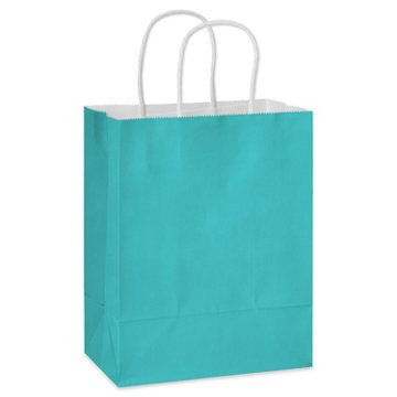 American Greetings Medium Aqua Gift Bag for All Occasions, 4.75" x 10" x 7.75"