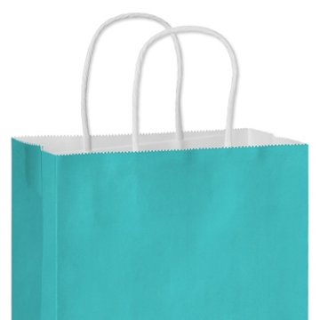 American Greetings Medium Aqua Gift Bag for All Occasions, 4.75" x 10" x 7.75"