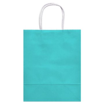 American Greetings Medium Aqua Gift Bag for All Occasions, 4.75" x 10" x 7.75"