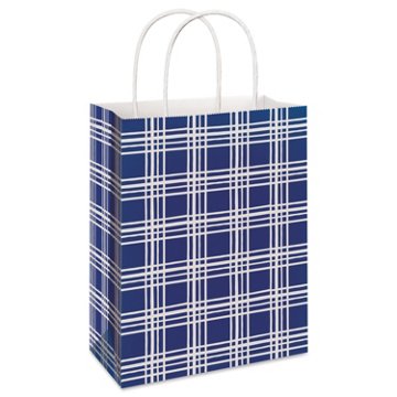 American Greetings All Occasion Large Blue Plaid Gift Bag, 10'' x 5'' x 13''