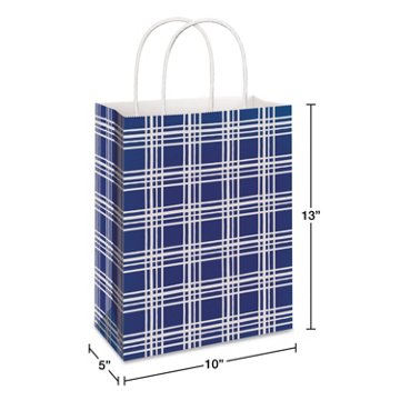 American Greetings All Occasion Large Blue Plaid Gift Bag, 10'' x 5'' x 13''