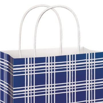 American Greetings All Occasion Large Blue Plaid Gift Bag, 10'' x 5'' x 13''