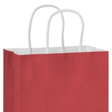 American Greetings Medium Red Gift Bag for All Occasions, 4.75" x 10" x 7.75"