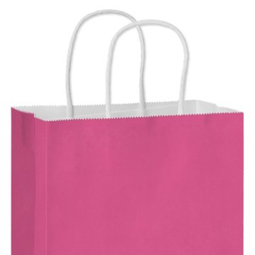 American Greetings Medium Pink Gift Bag for All Occasions, 4.75" x 10" x 7.75"
