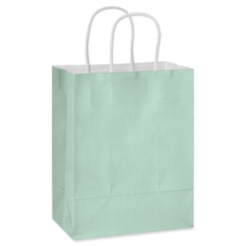 American Greetings Medium Mint Gift Bag for All Occasions, 4.75" x 10" x 7.75"