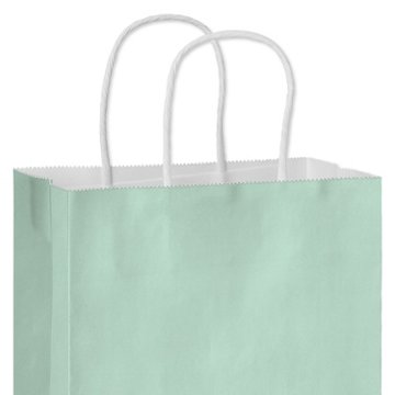 American Greetings Medium Mint Gift Bag for All Occasions, 4.75" x 10" x 7.75"