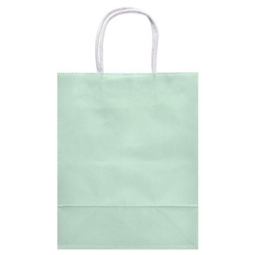 American Greetings Medium Mint Gift Bag for All Occasions, 4.75" x 10" x 7.75"
