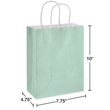 American Greetings Medium Mint Gift Bag for All Occasions, 4.75" x 10" x 7.75"