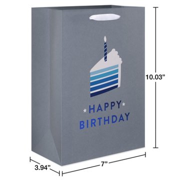 American Greetings Birthday Cake Medium Gift Bag, 3.94" x 10.03" x 7"