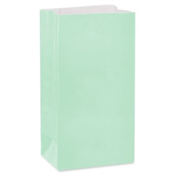American Greetings Mint Goodie Bag, 3.38" x 10.38'' x 5.25"