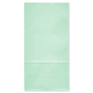 American Greetings Mint Goodie Bag, 3.38" x 10.38'' x 5.25"