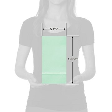 American Greetings Mint Goodie Bag, 3.38" x 10.38'' x 5.25"