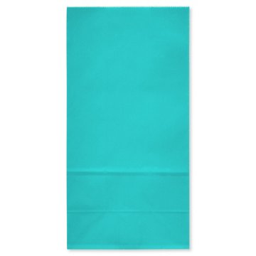 American Greetings Aqua Goodie Bag, 3.38" x 10.38" x 5.25"