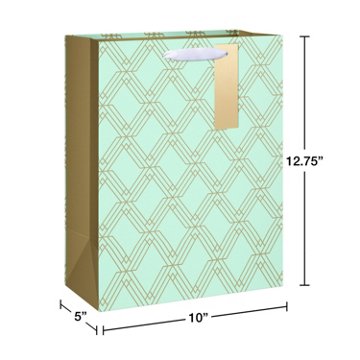 American Greetings Geometric Pattern Large Mint Gift Bag with Hang Tag