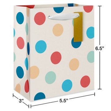 American Greetings Multi-Color Dot Ivory Small Gift Bag with Tag