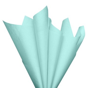American Greetings Cool Mint Tissue Paper, 8 ct
