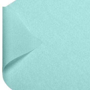 American Greetings Cool Mint Tissue Paper, 8 ct