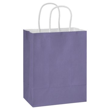 American Greetings Medium Purple Gift Bag for All Occasions, 4.75" x 10" x 7.75"