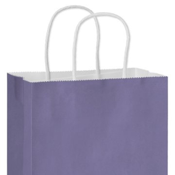 American Greetings Medium Purple Gift Bag for All Occasions, 4.75" x 10" x 7.75"