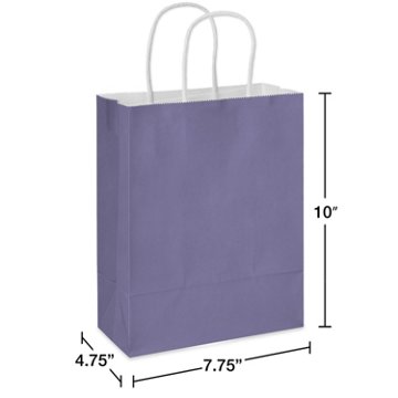 American Greetings Medium Purple Gift Bag for All Occasions, 4.75" x 10" x 7.75"