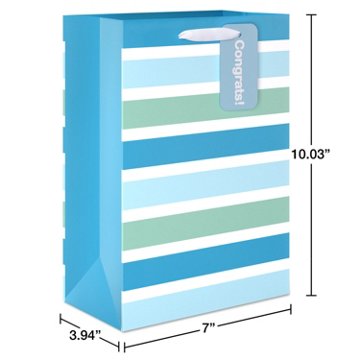 American Greetings Blue Stripes Baby Shower Medium Gift Bag with Hang Tag, 3.94" x 10.03" x 7"