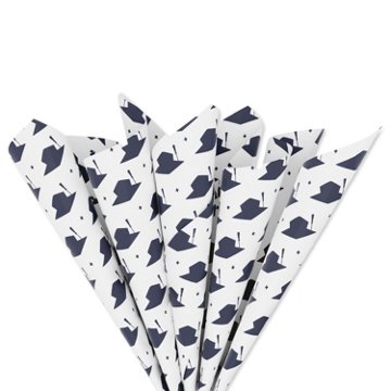 American Greetings Cap & Tassel Graduation Tissue Paper, 8 ct, 20" x 20"