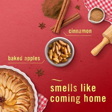 Febreze Plug Scent Booster Starter Kit - Baked Cinnamon Apple