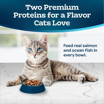 Blue Buffalo Tastefuls Dry Cat Food - Salmon & Ocean Fish