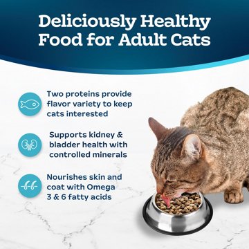 Blue Buffalo Tastefuls Dry Cat Food - Salmon & Ocean Fish
