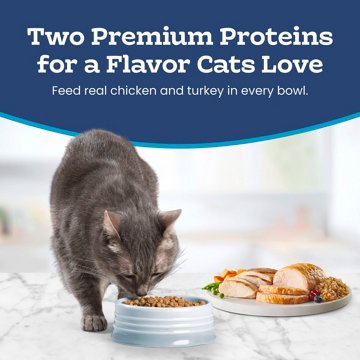 Blue Buffalo Tastefuls Dry Cat Food - Chicken & Turkey