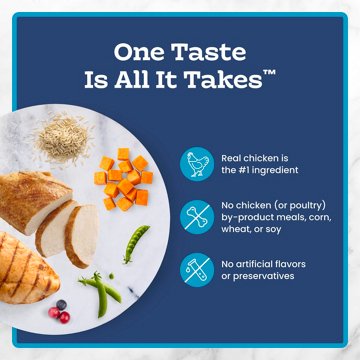 Blue Buffalo Tastefuls Dry Cat Food - Chicken & Turkey