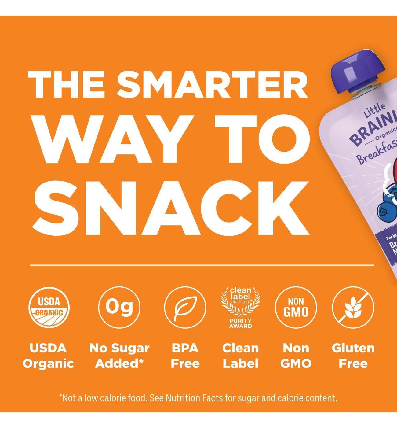 Little Brainiac Oragnics Breakfast Blend Pouch - Berry Apple Oat; image 4 of 6