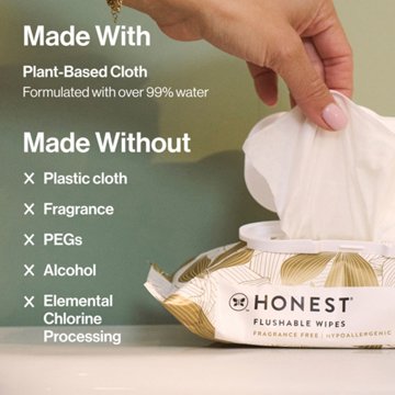 The Honest Company Flushable Wipes Gilded Wings