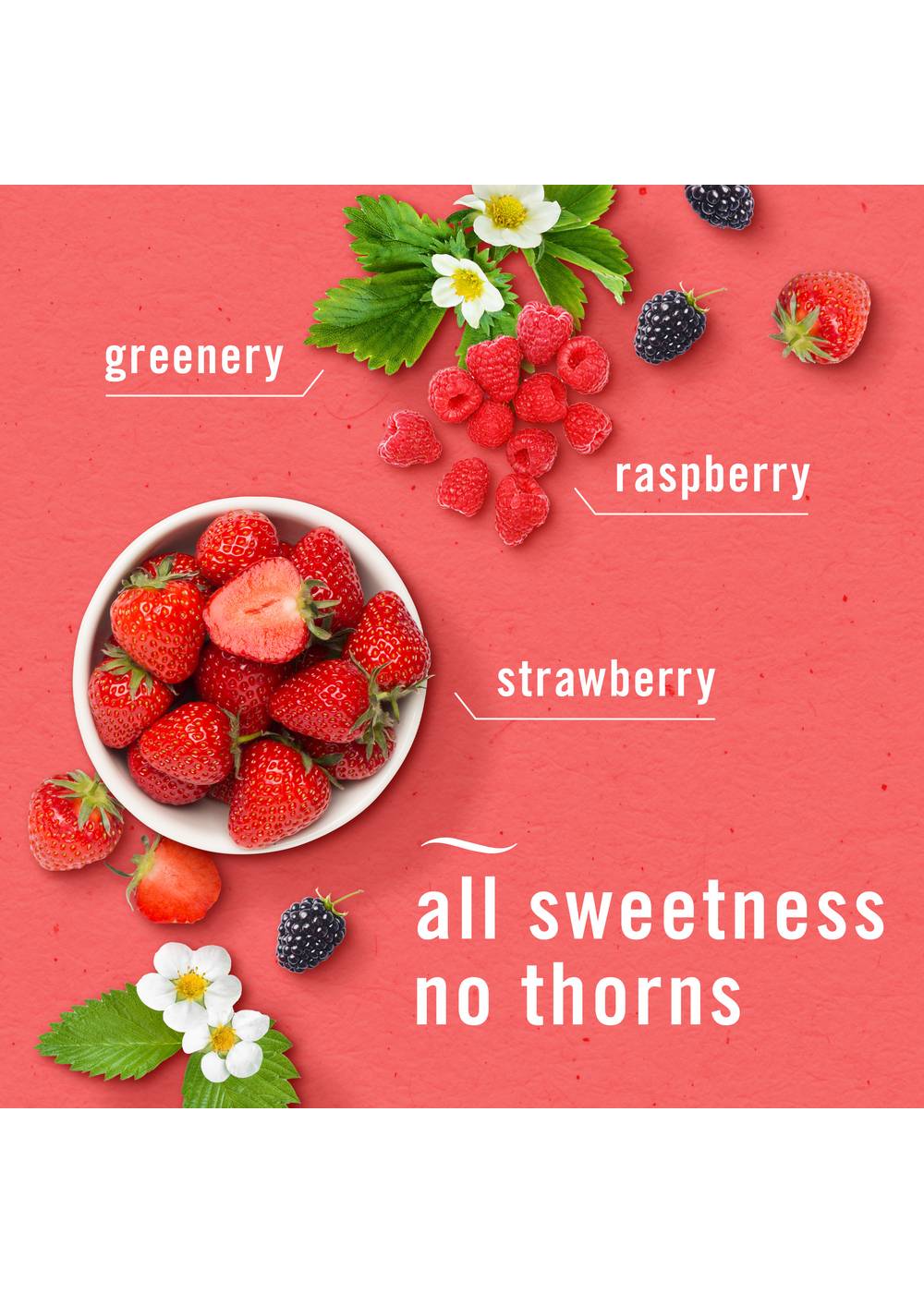 Febreze Plug In Air Freshener Odor-Fighting Scented Oil Refill - Berry & Bramble; image 2 of 3