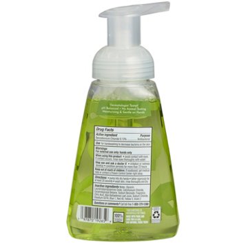 HEB Antibacterial Foaming Hand Soap - Green Tea & Aloe