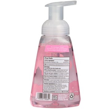 HEB Antibacterial Foaming Hand Soap - Hibiscus