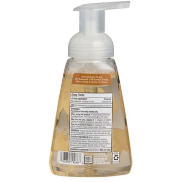HEB Antibacterial Foaming Hand Soap - Coconut & Vanilla