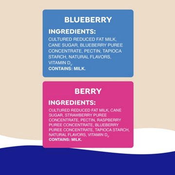 GoGo squeeZ yogurtZ Low Fat Blueberry & Berry Yogurt Snack Pouches, 10 ct