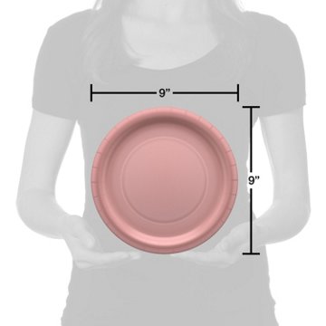 American Greetings Pink 9'' Paper Plates, 10 ct