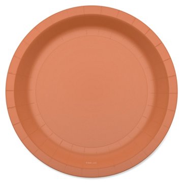 American Greetings Orange 7" Paper Plates, 10 ct