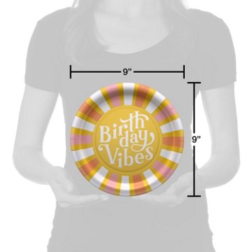 American Greetings Birthday Vibes 9" Birthday Paper Plates, 10 ct