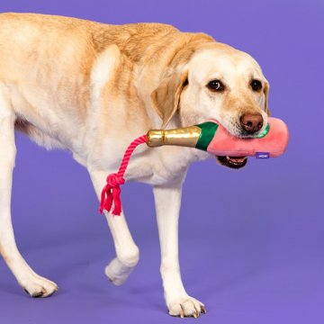 Woof & Whiskers Pawsecco Rose With Rope Dog Toy