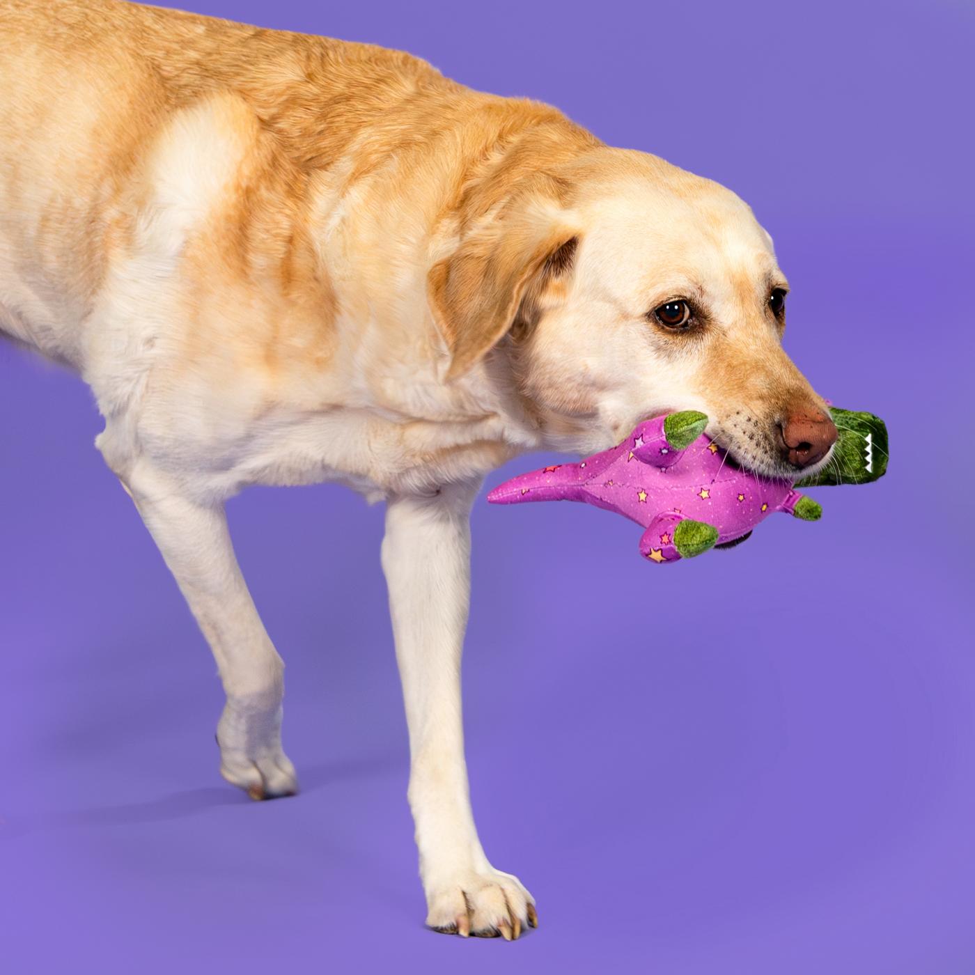 Woof & Whiskers Sleepy T-Rex Dog Toy; image 2 of 5