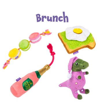 Woof & Whiskers Sleepy T-Rex Dog Toy