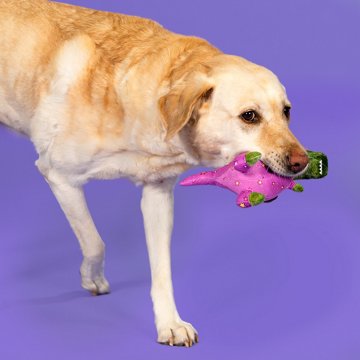 Woof & Whiskers Sleepy T-Rex Dog Toy