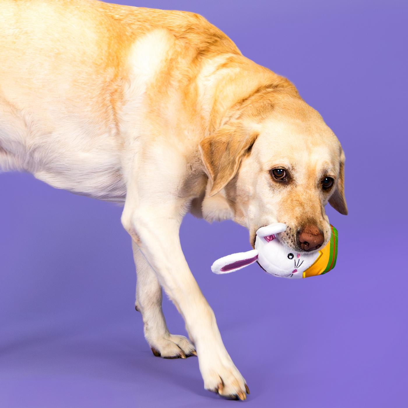 Woof & Whiskers Bunny In Egg Dog Toy; image 4 of 6
