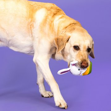 Woof & Whiskers Bunny In Egg Dog Toy