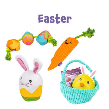 Woof & Whiskers 3 Eggs On Rope Dog Toy